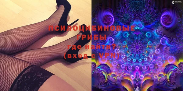 ешки Елабуга