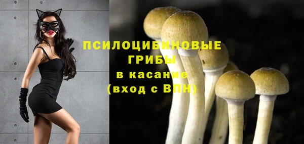 ешки Елабуга