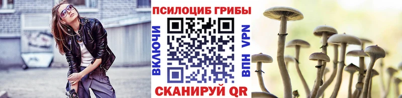 Купить  Покров  Галлюциногенные грибы прущие грибы 